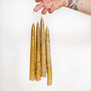 Pair of Dipped 8″ Botanical Beeswax Taper Candles by Moon Dips - Zero Waste Shop Winnipeg