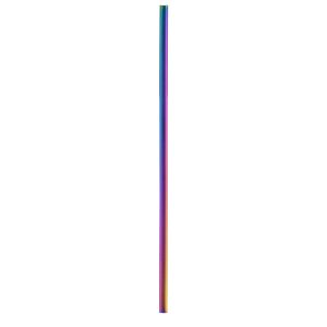 Stainless Steel Straw - Holographic